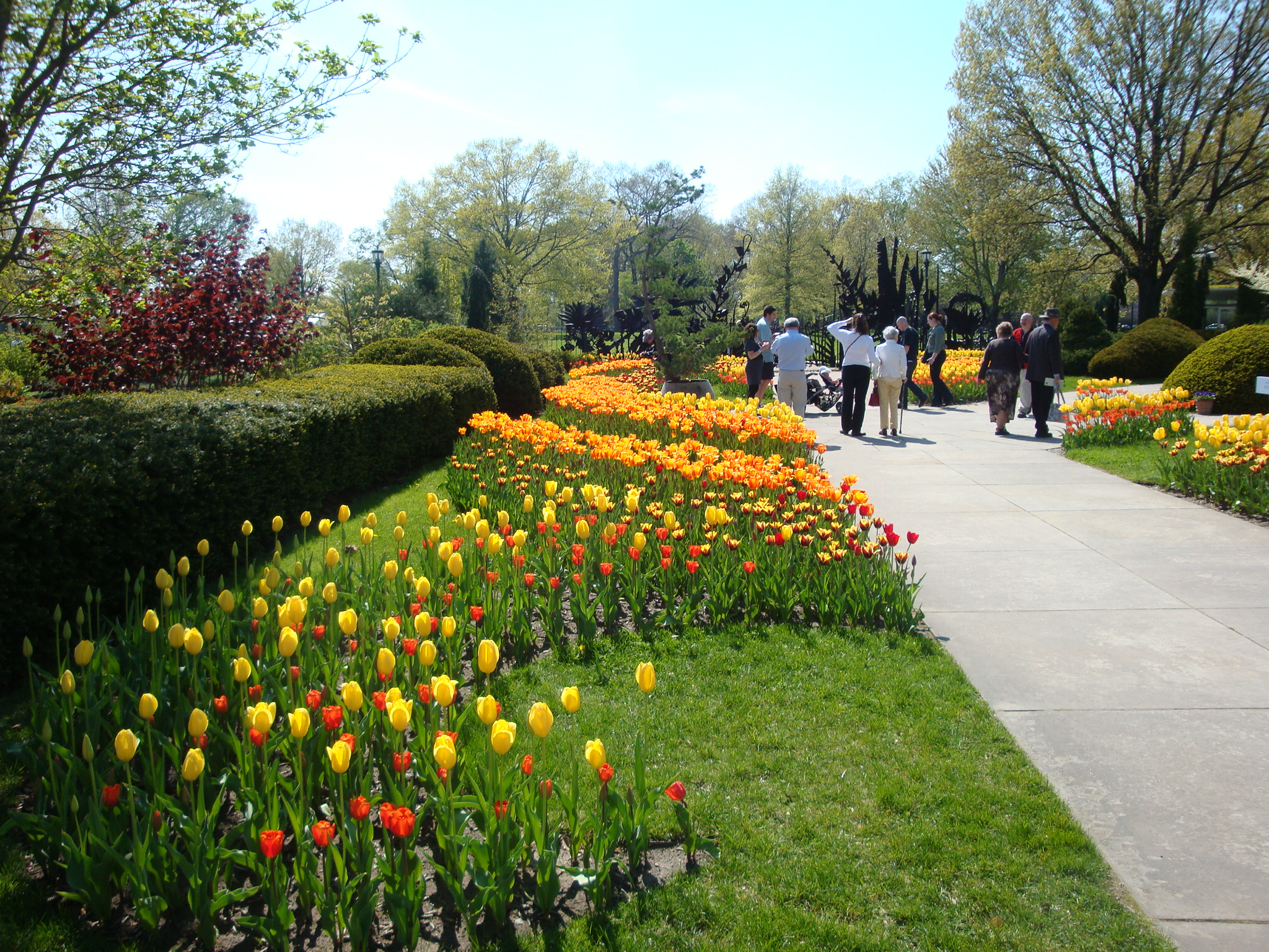 The Cleveland Botanical Garden Luxuriance Style