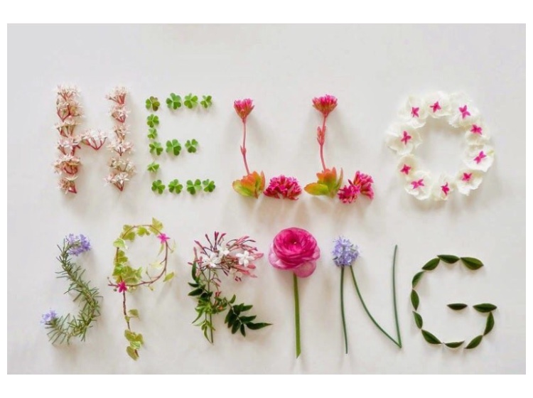 Hello Spring!/Luxuriance Style